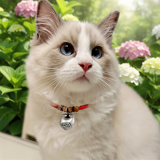 999 Pure Silver Charm Blessing Lock Pet Collar Cat and Dog Handmade Woven Adjustable